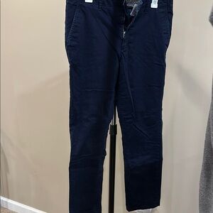 Banana Republic Blue Chinos- Flannel Lined